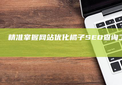 精准掌握网站优化：橘子SEO查询工具深度解析